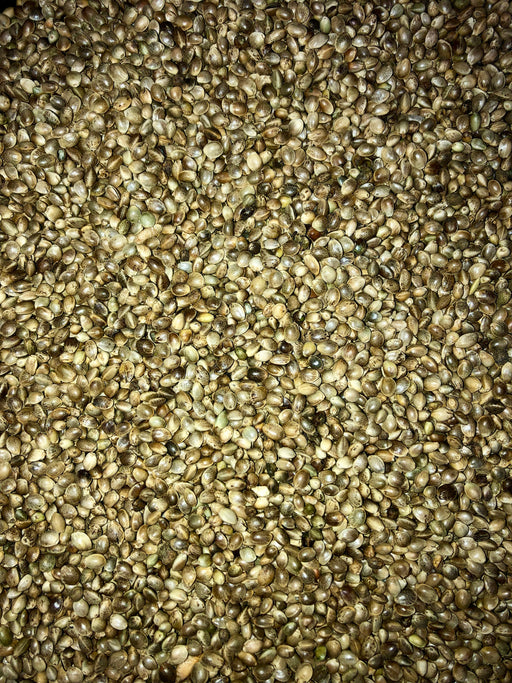 Apex Baits Uncooked Hemp Seed