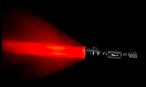 CarpLife Bird Torch & Case